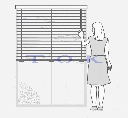 GIF animation of Blinds Lifting